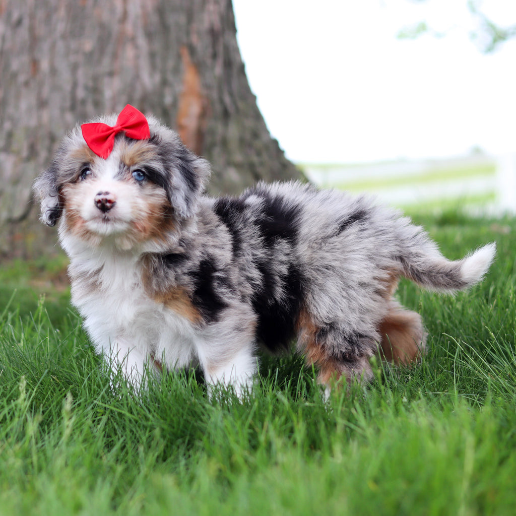 Sophia - Available 5/14