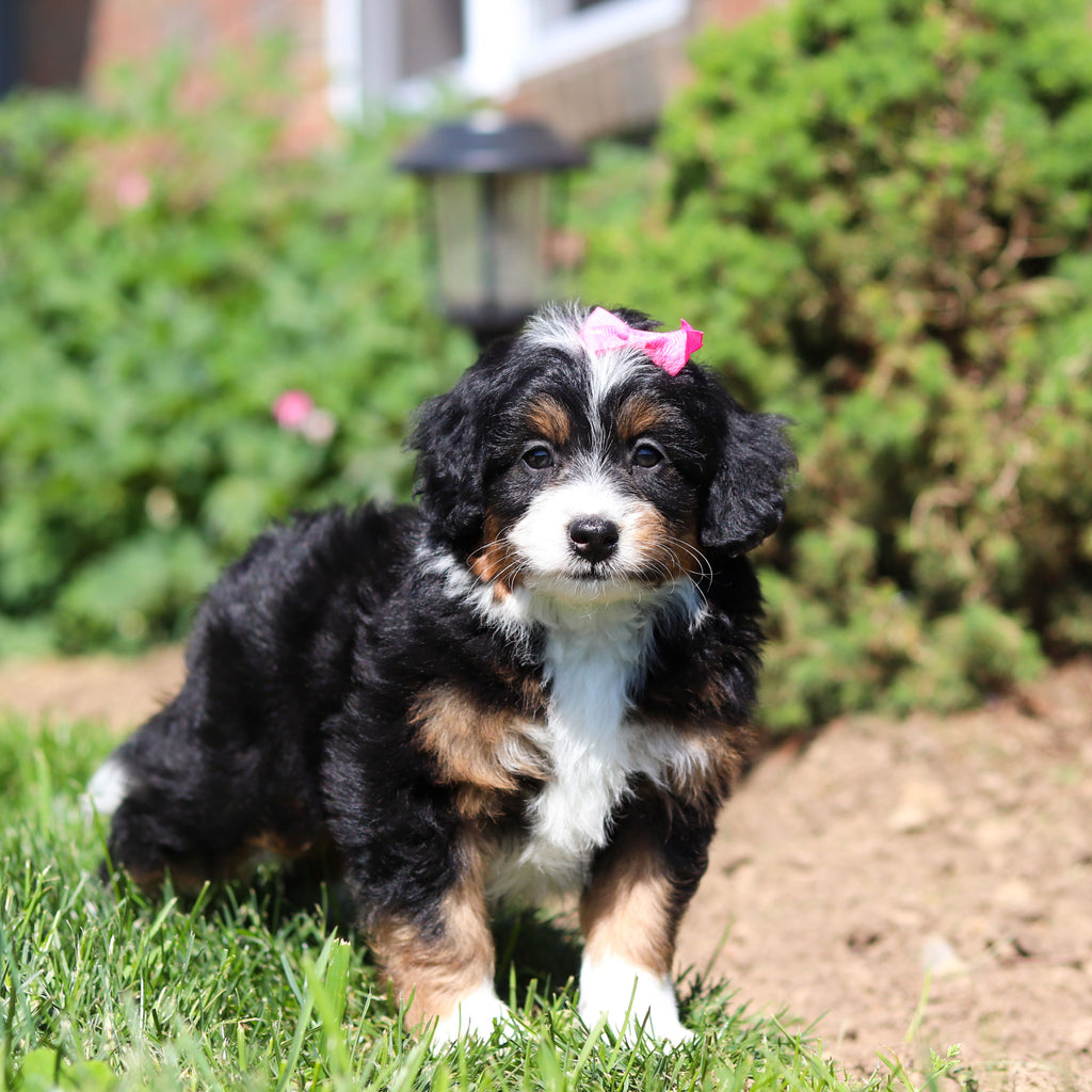 Raquel - Available 6/18