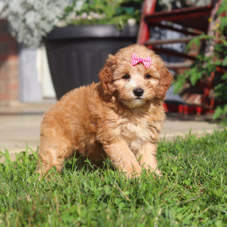 Margaret - Available 9/3