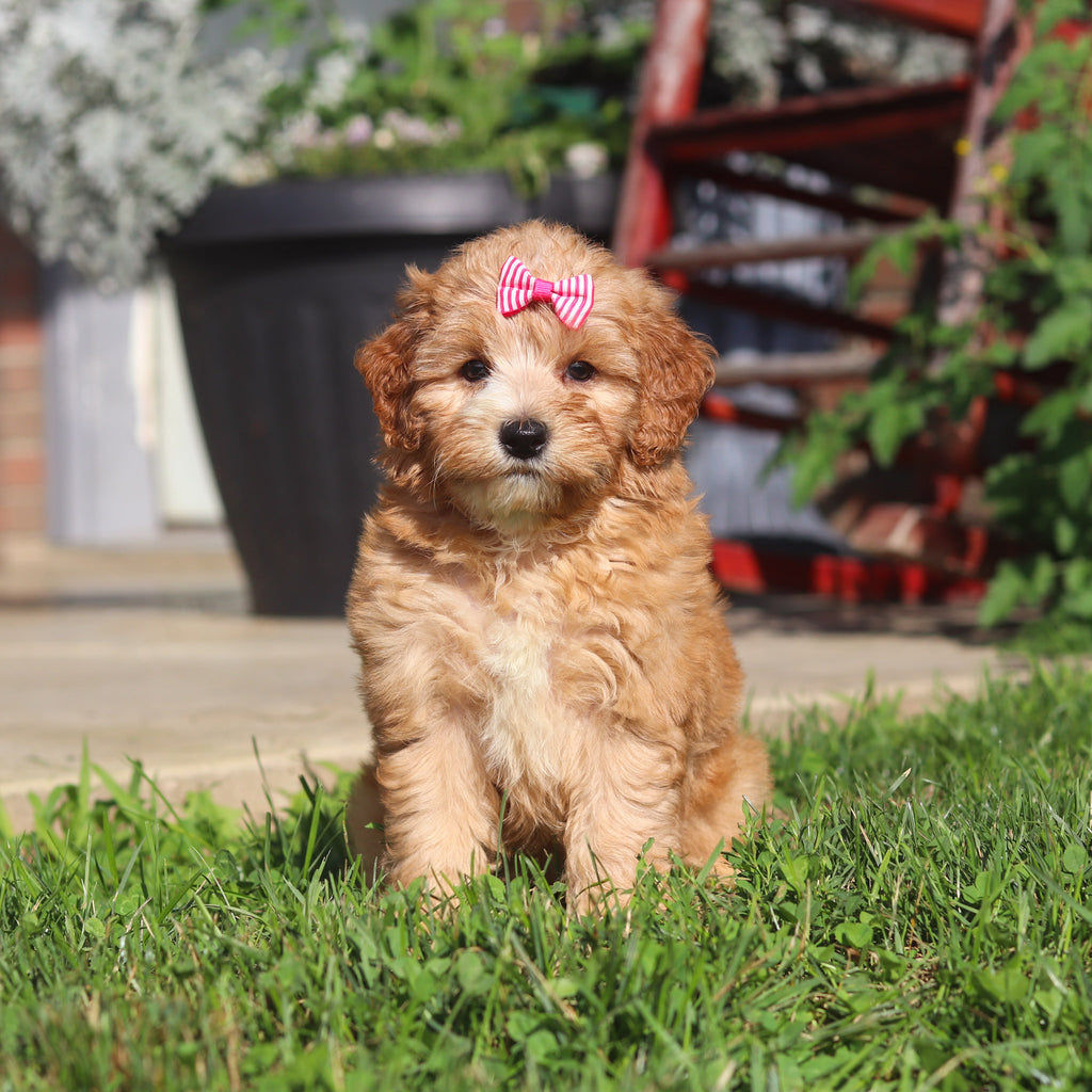 Margaret - Available 9/3