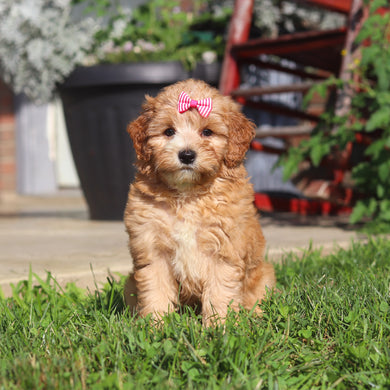 Margaret - Available 9/3