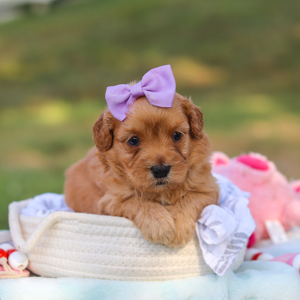 Margaret - Available 9/3