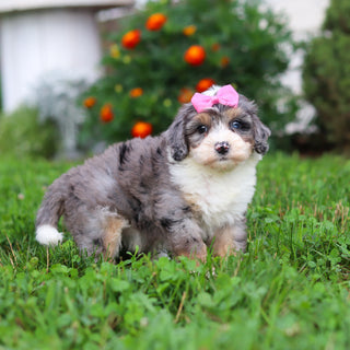 Della - Available 9/3