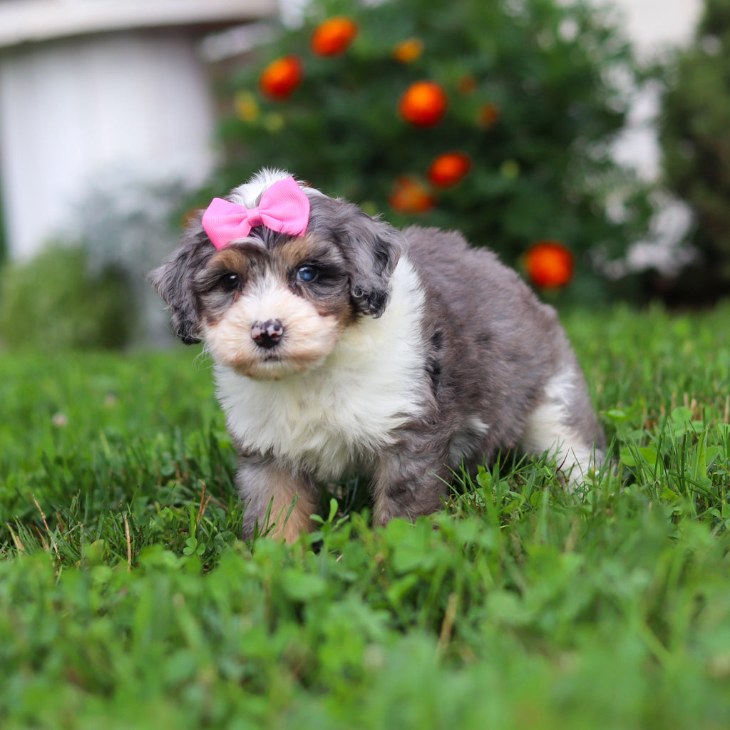Della - Available 9/3