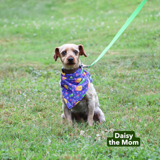 John - Available 12/17