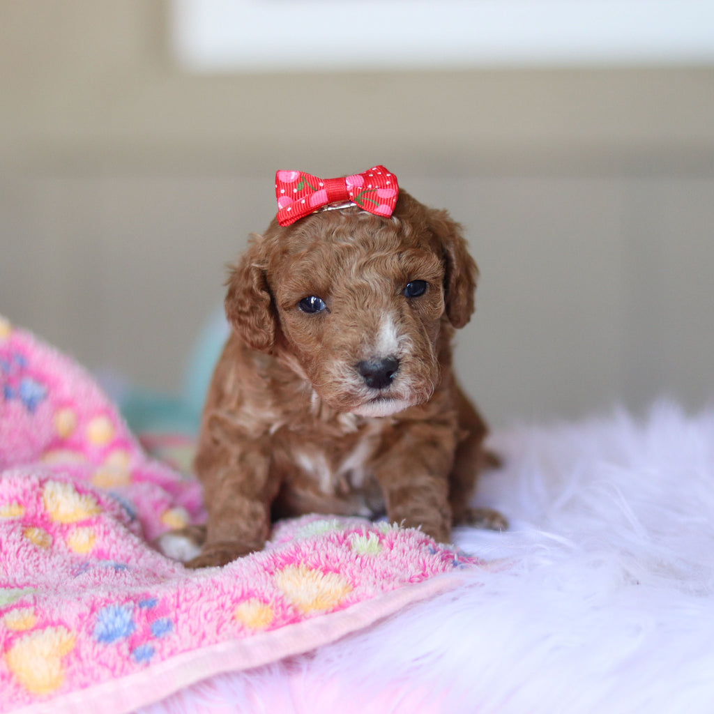 Tilda - Available 5/28