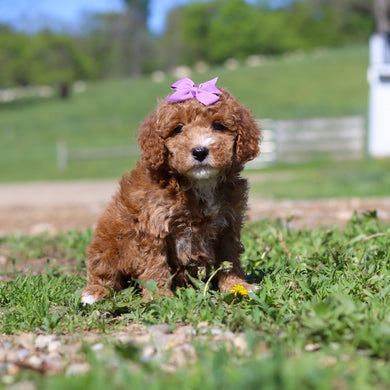 Tilda - Available 5/28