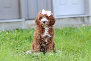 Jilly - Available 7/23