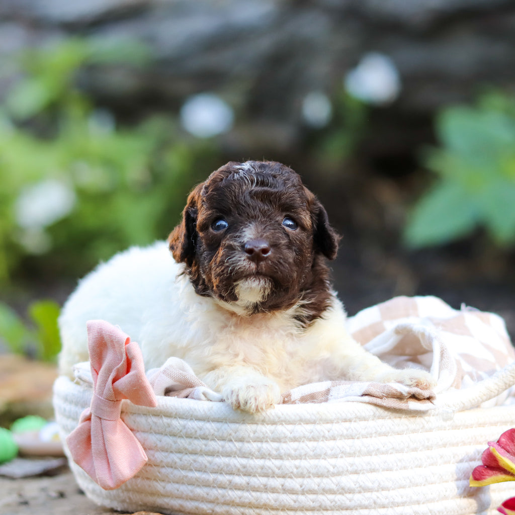Wendy - Available 10/1