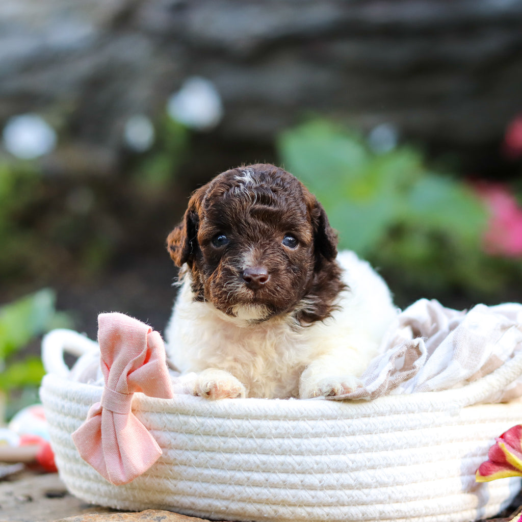 Wendy - Available 10/1