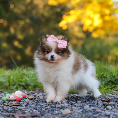 Gillian - Available 10/15
