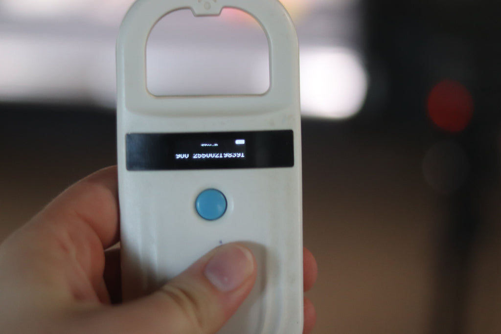 Betty - Available Now