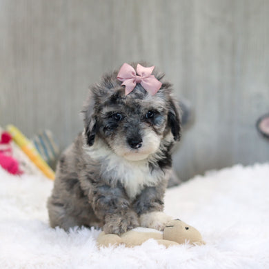 Jodie - Available 10/29