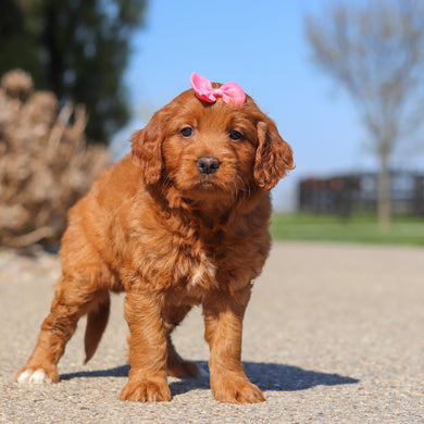 Jenny - Available 5/14