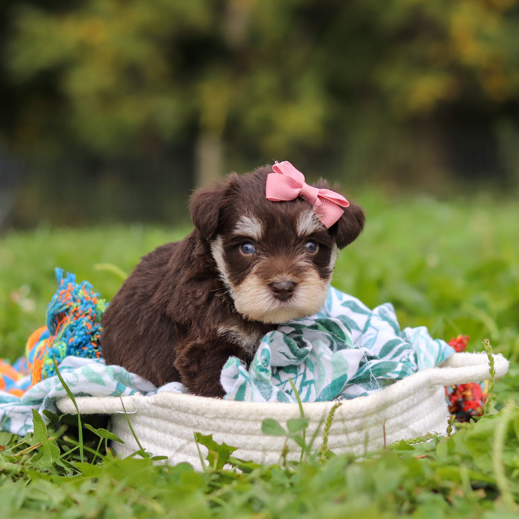 Alina - Available 10/8