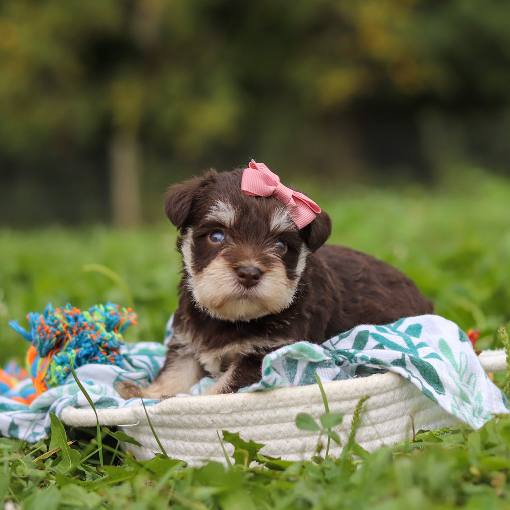 Alina - Available 10/8