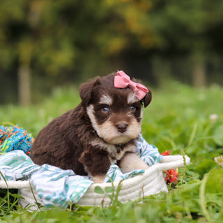 Alina - Available 10/8