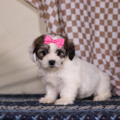 March - Available 3/12