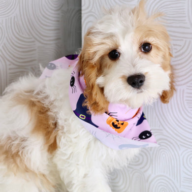 Hattie - Available Now