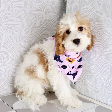 Hattie - Available Now