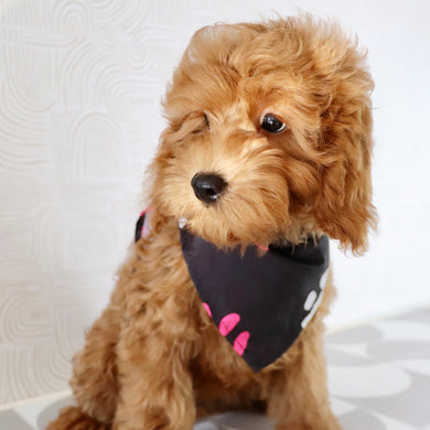 Cher - Available Now