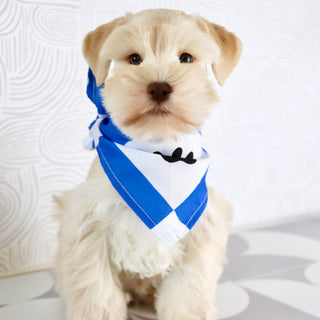 Myles - Available Now