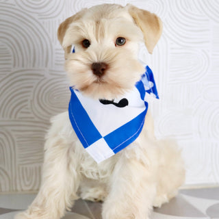 Myles - Available Now