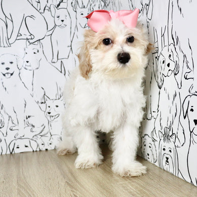 Helen - Available Now