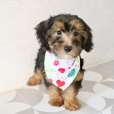 Eleanor - Available Now
