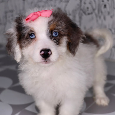 Rosie