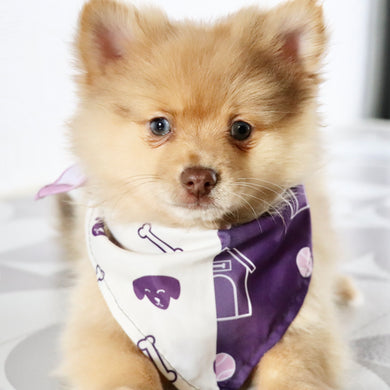 Sara - Available Now