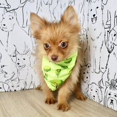 Marvin - Available Now