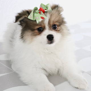 Jetta - Available Now