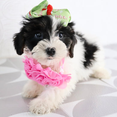 Caledonia - Available Now