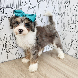 Della - Available 9/3