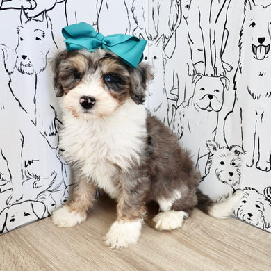 Della - Available 9/3