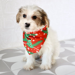 Alon - Available Now