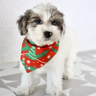 Alfio - Available Now