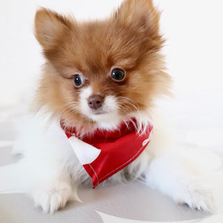 Adwin - Available Now