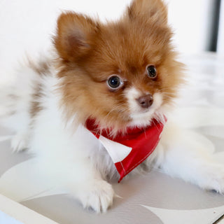 Adwin - Available Now