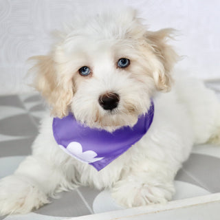 Bennett - Available Now