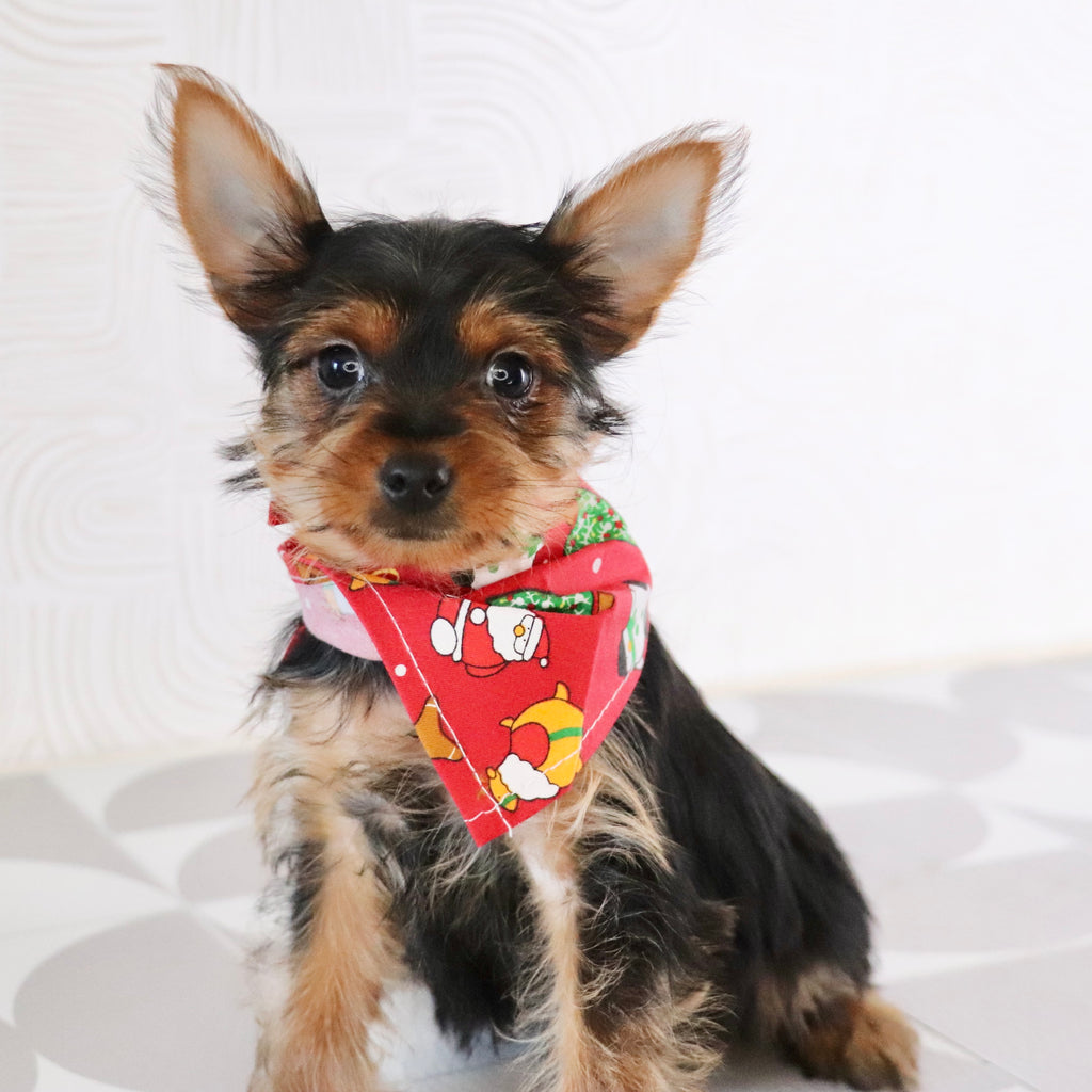 Trudy - Available Now