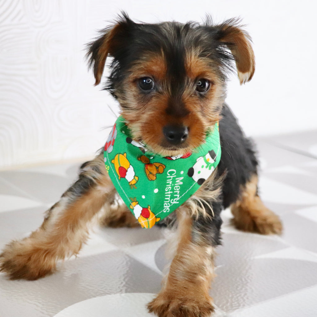 Wanda - Available Now