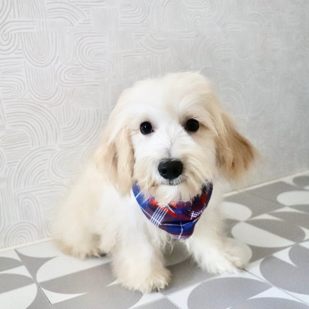 Odin - Available Now