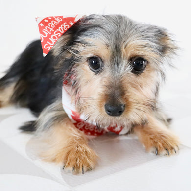 Fairway - Available Now