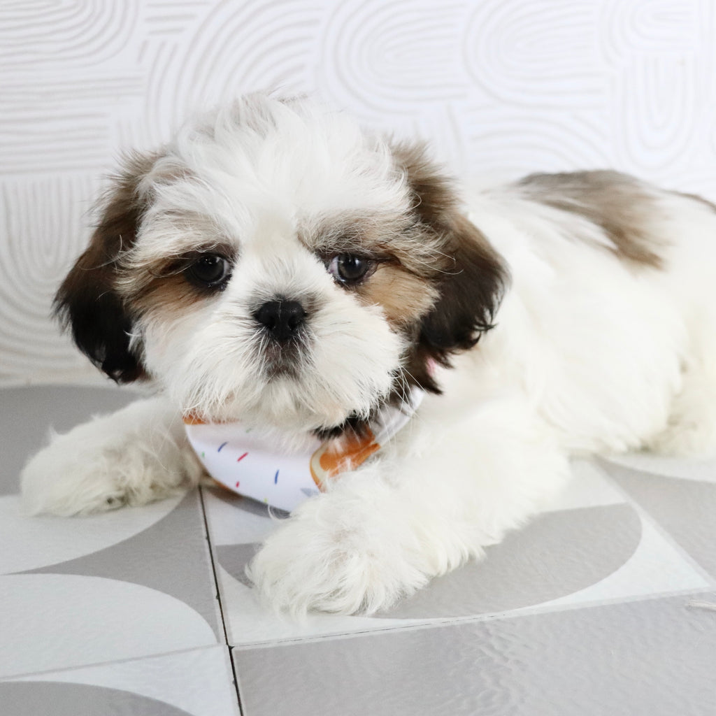 Kyan - Available Now