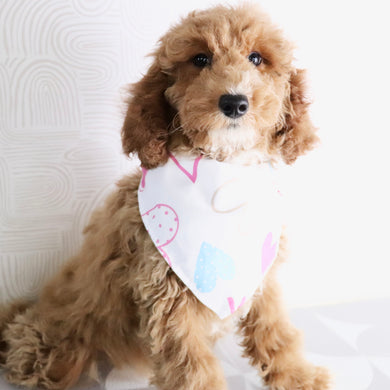 Fiona - Available Now