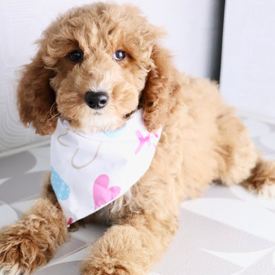 Fiona - Available Now