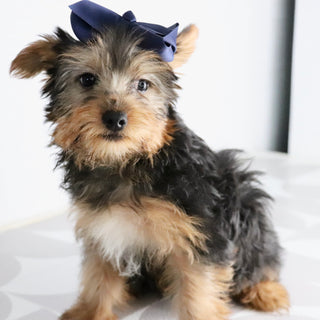 Helen - Available Now