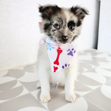 Lenny - Available Now